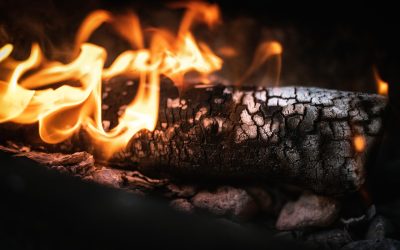 Dinas Damkar Bangka Hapus Sarang Tawon di Gedung DPRD